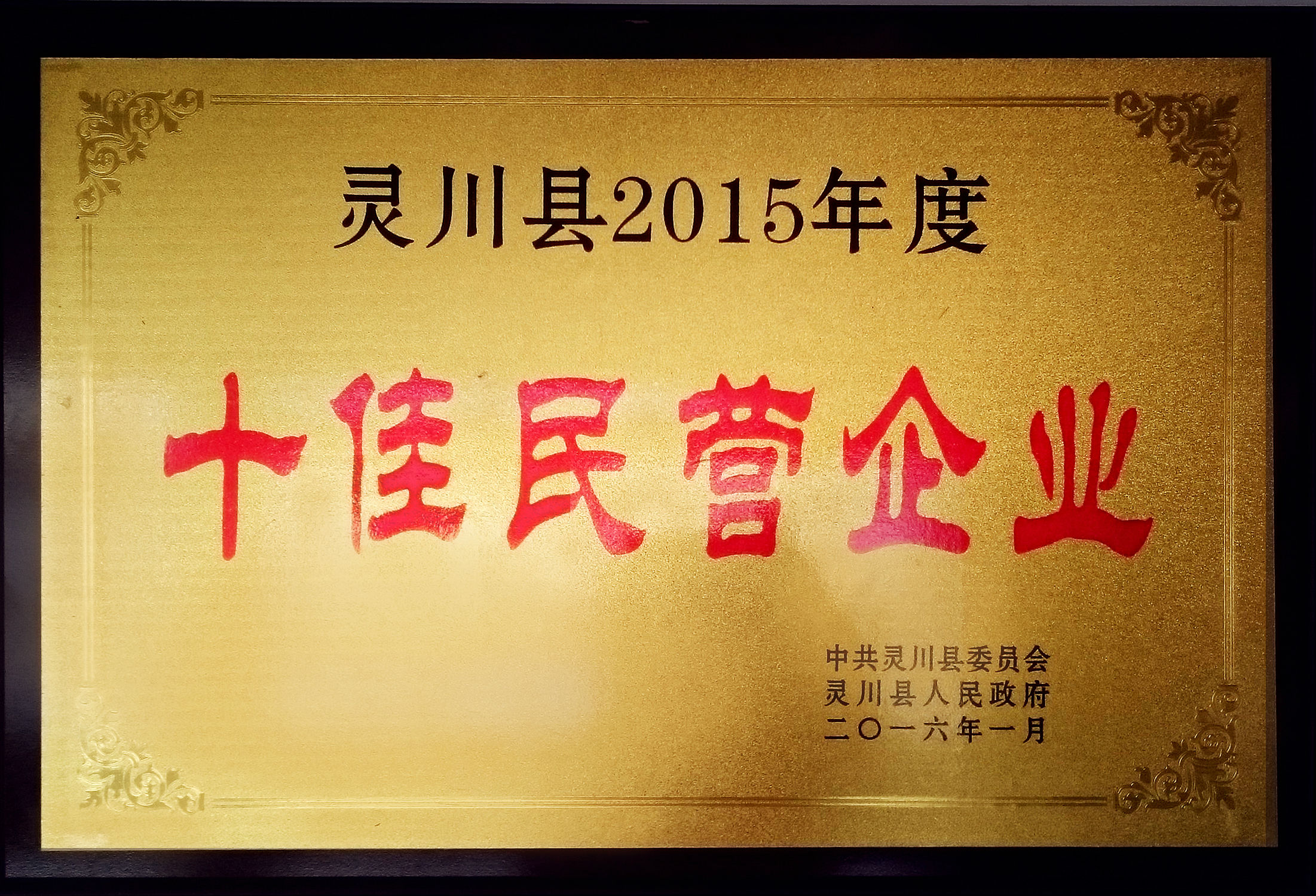 華信制藥2015年度十佳民營企業(yè)