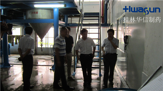 桂林市領(lǐng)導(dǎo)到桂林華信制藥有限公司調(diào)研 桂林市領(lǐng)導(dǎo)到桂林華信制藥有限公司調(diào)研