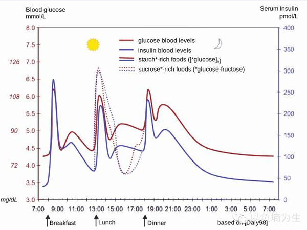 一天當(dāng)中正常的血糖波動曲線