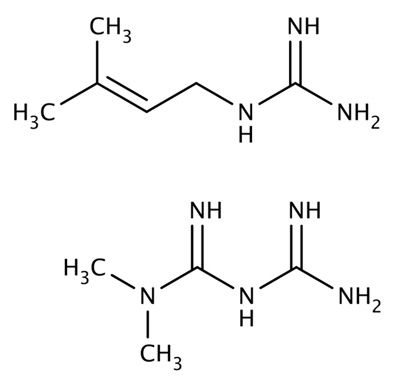 兩種胍類小分子，山羊豆堿（上）和二甲雙胍（下）