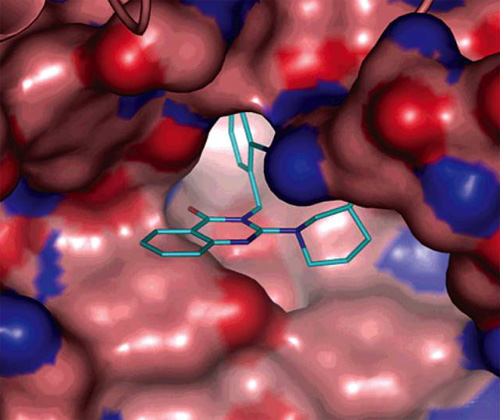 基于結(jié)構(gòu)的藥物設(shè)計(jì)