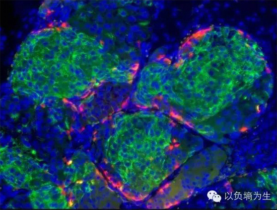 米爾頓實(shí)驗(yàn)室2014年的突破性進(jìn)展