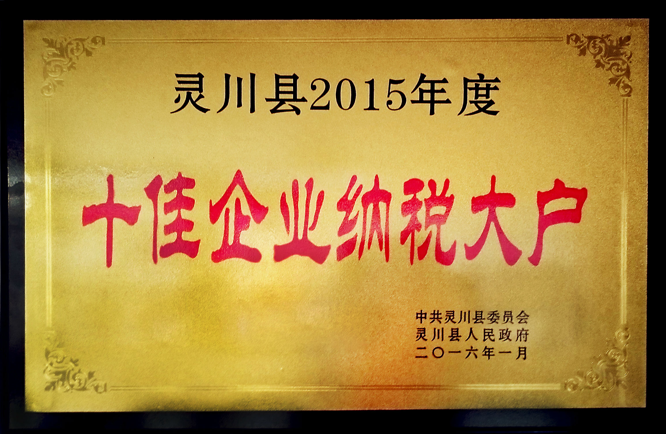 桂林華信制藥榮獲十佳企業(yè)納稅大戶