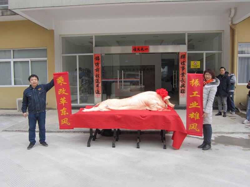 福豬.jpg 福豬.jpg